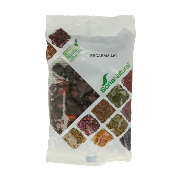 Escaramujo 100 g Soria Natural R.02085